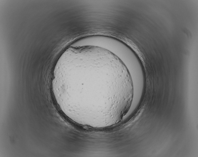 X0000111230577200907301248