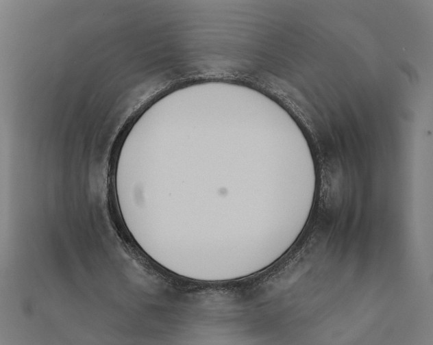 X0000111230578200907301248