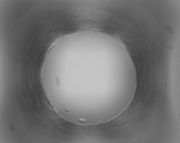 X0000111230579200907301248