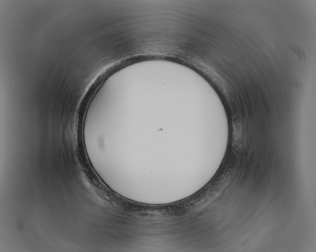 X0000111230580200907301248