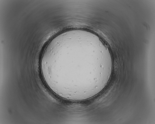 X0000111230581200907301248