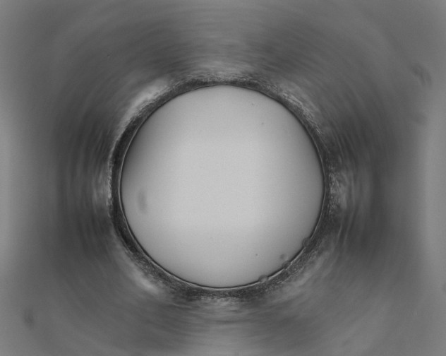 X0000111230582200907301248
