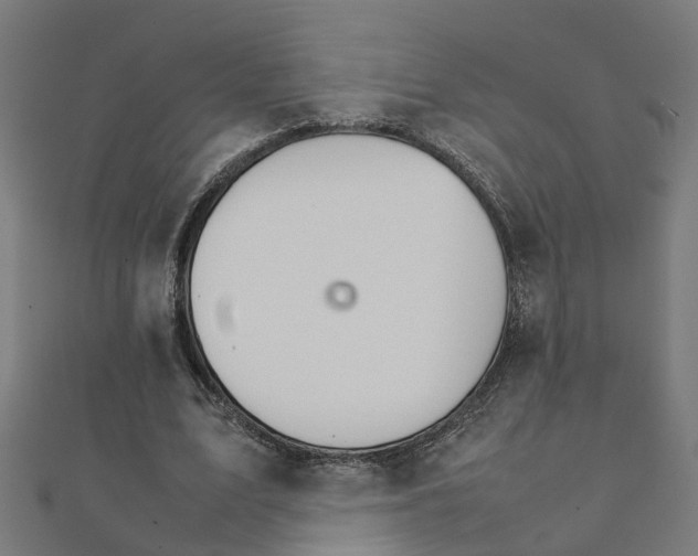X0000111230583200907301248