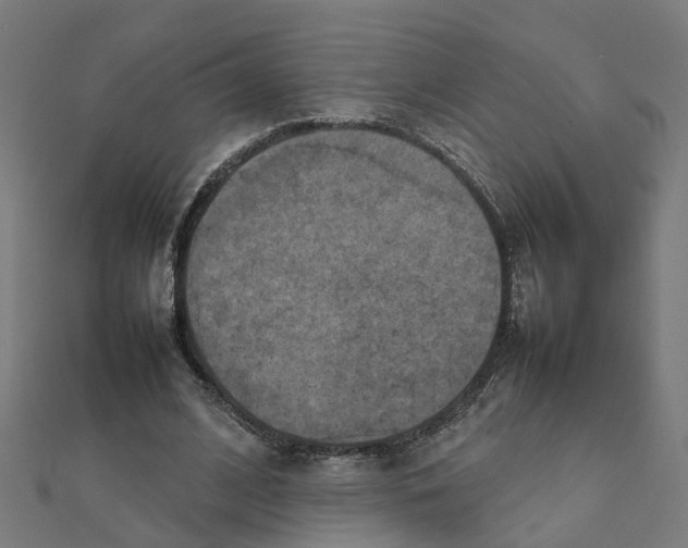 X0000111230584200907301248