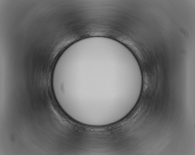 X0000111230586200907301248