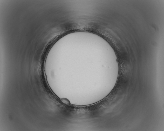 X0000111230587200907301248