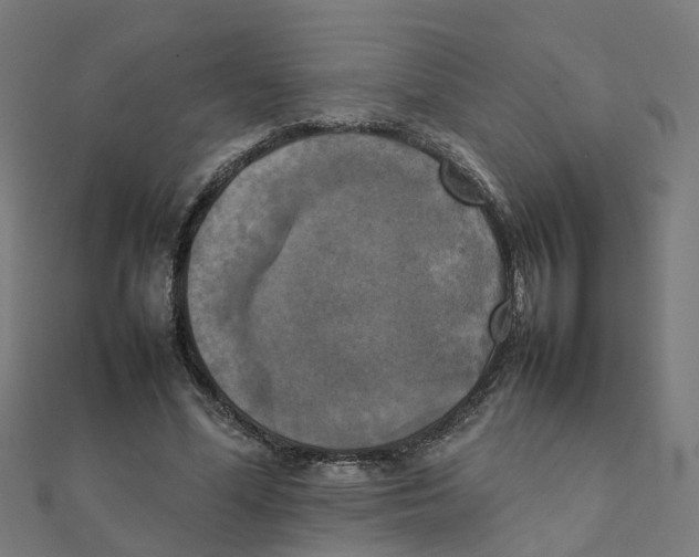 X0000111230588200907301248