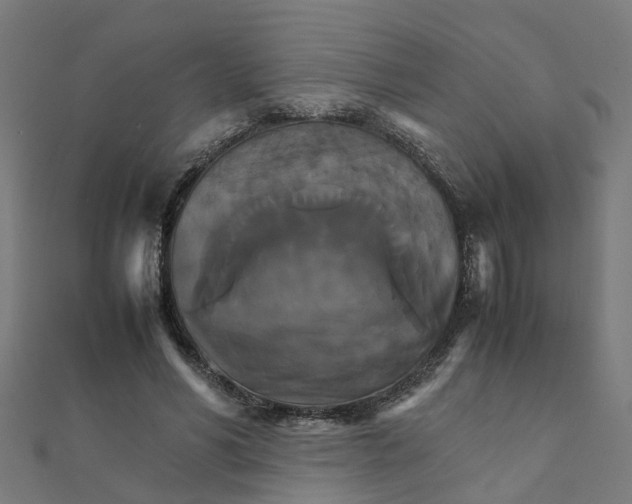X0000111230590200907301248