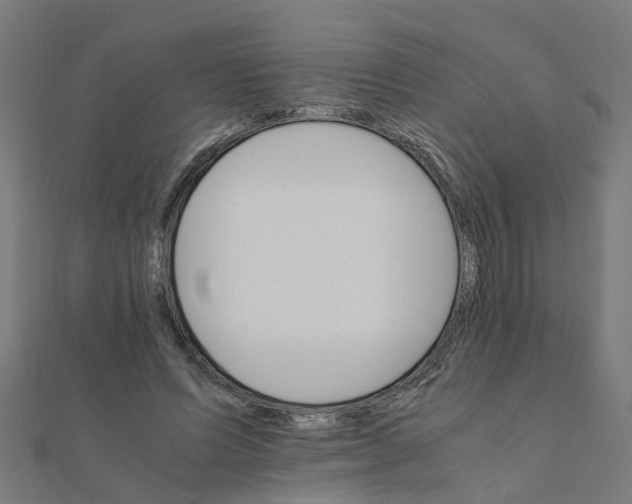 X0000111230591200907301248