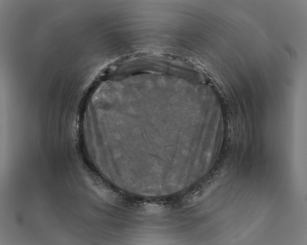 X0000111230592200907301248