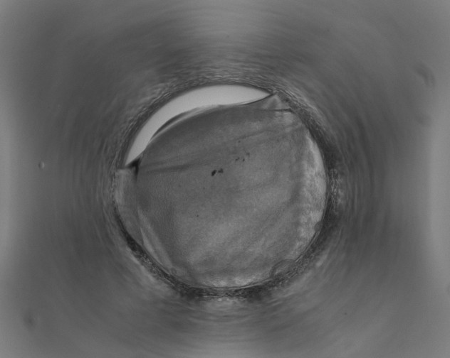 X0000111230593200907301248