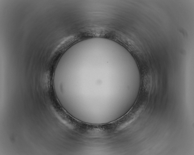 X0000111230594200907301248
