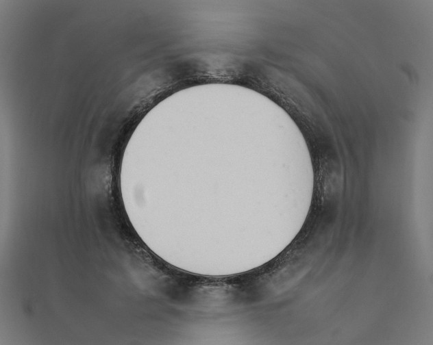 X0000111230595200907301247