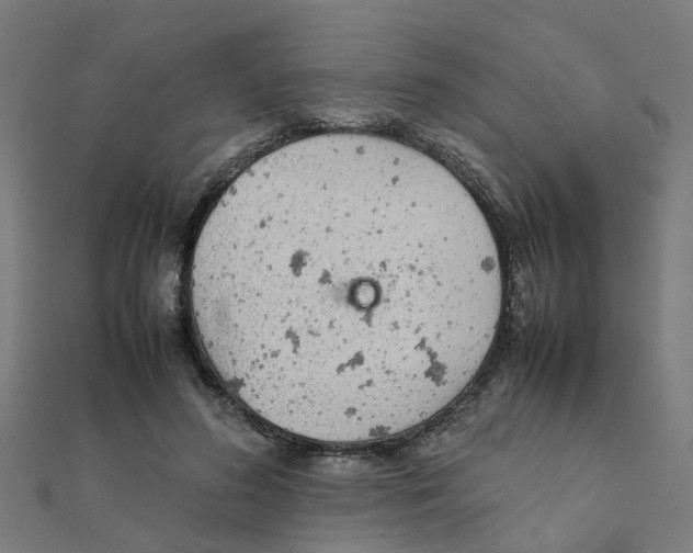 X0000111230596200907301247