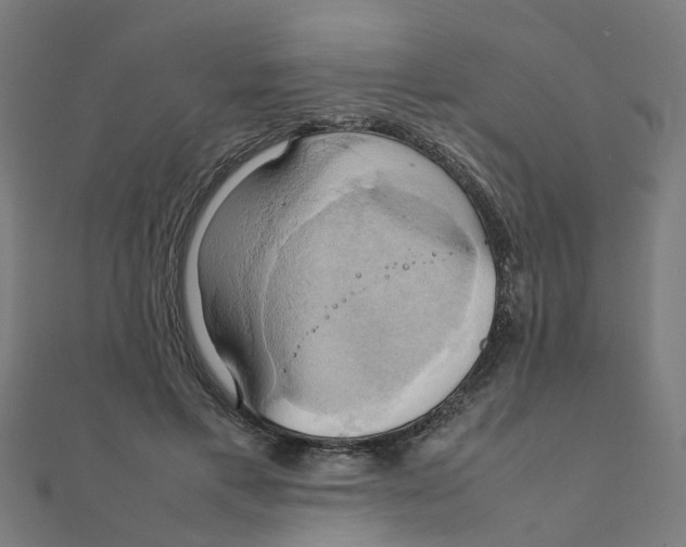 X0000111230597200907301247