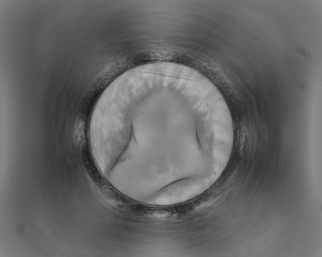 X0000111230598200907301247