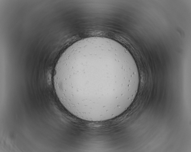 X0000111230602200907301247