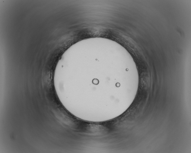 X0000111230605200907301247