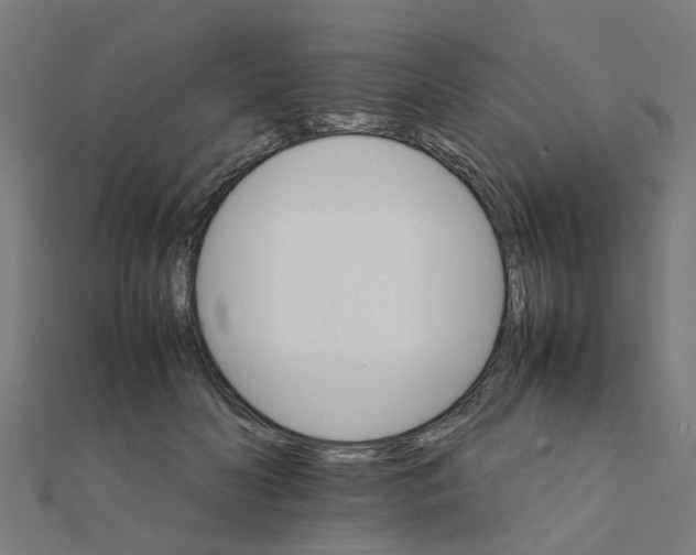 X0000111230606200907301247