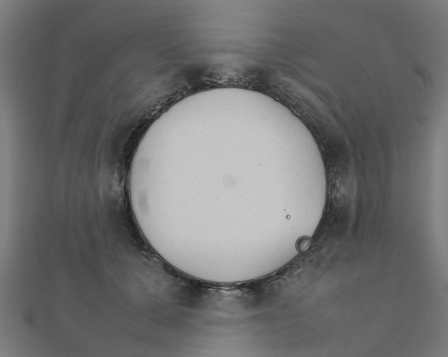 X0000111230607200907301247
