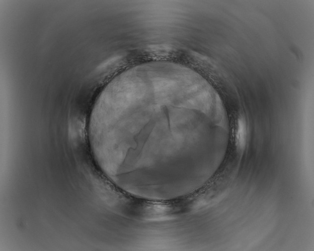 X0000111230610200907301247