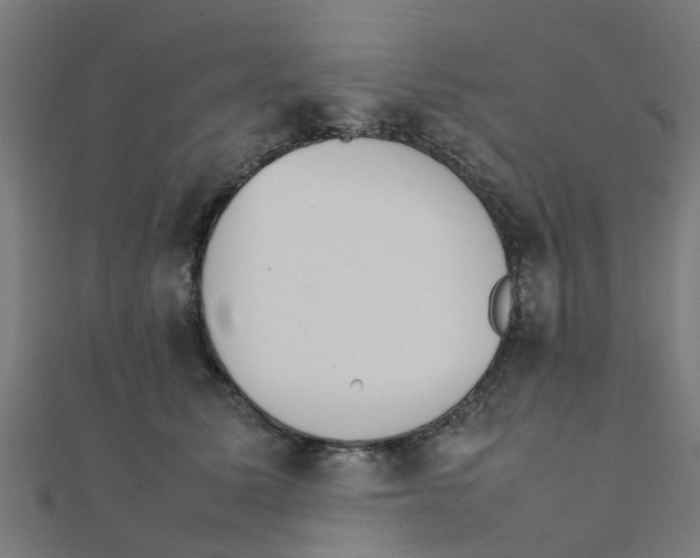 X0000111230611200907301247