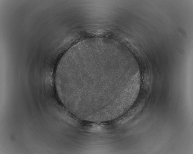 X0000111230612200907301247