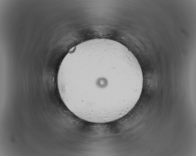 X0000111230615200907301247