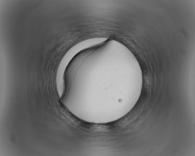 X0000111230617200907301247