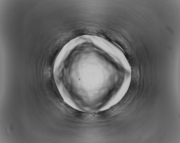 X0000111230621200907301247