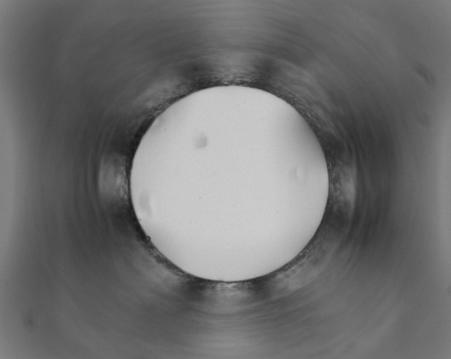 X0000111230622200907301247