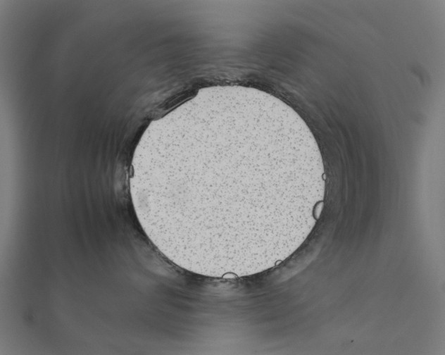 X0000111230624200907301247