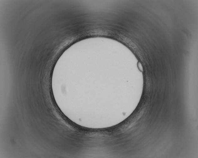 X0000111230625200907301247