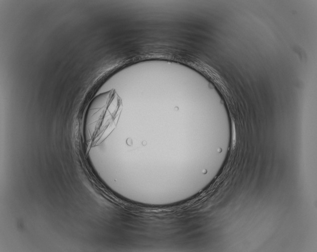 X0000111230627200907301247