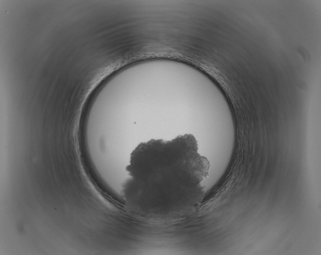 X0000111230630200907301247