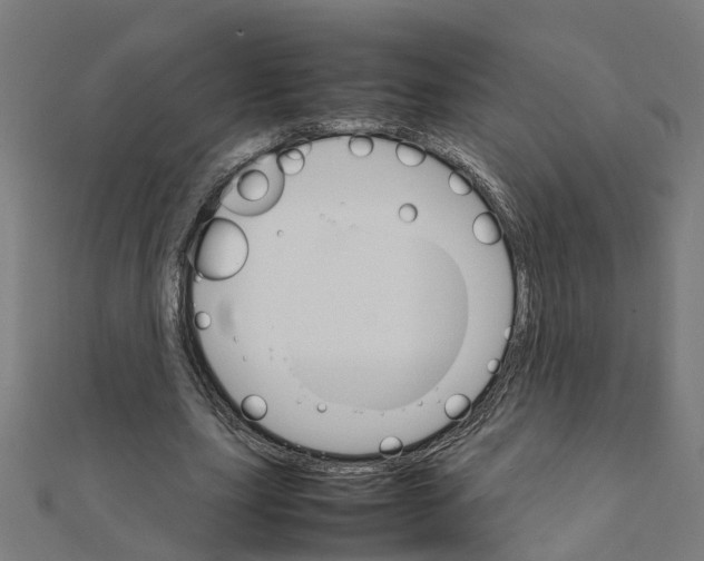 X0000111230631200907301247