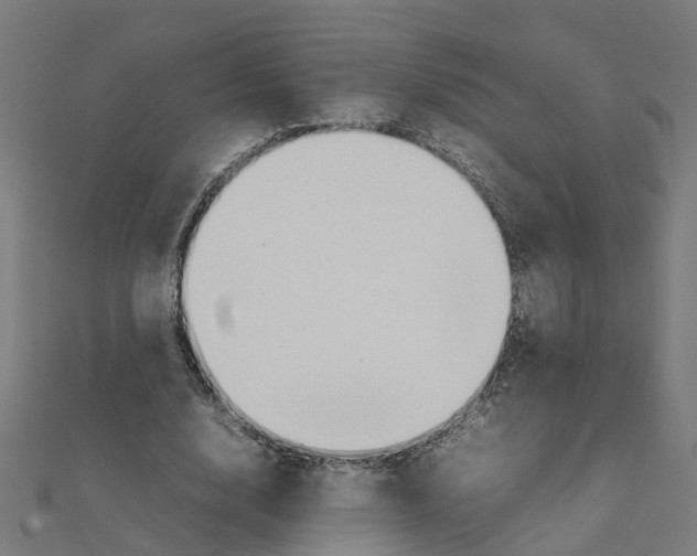 X0000111230632200907301247