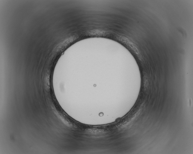 X0000111230633200907301247