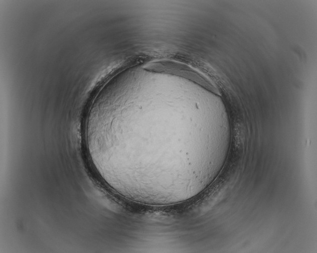 X0000111230634200907301247