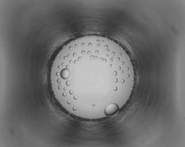 X0000111230635200907301247