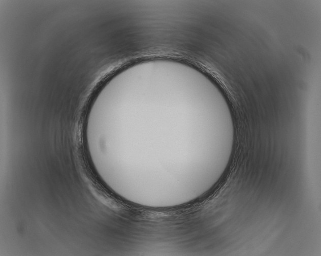 X0000111230636200907301247