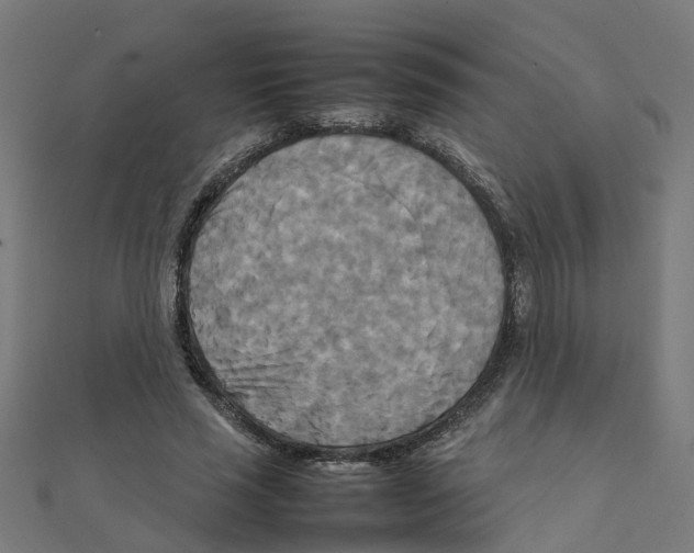 X0000111230637200907301247