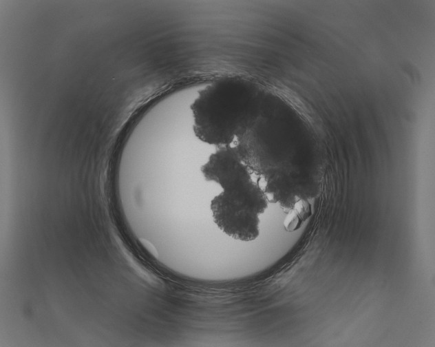 X0000111230638200907301247