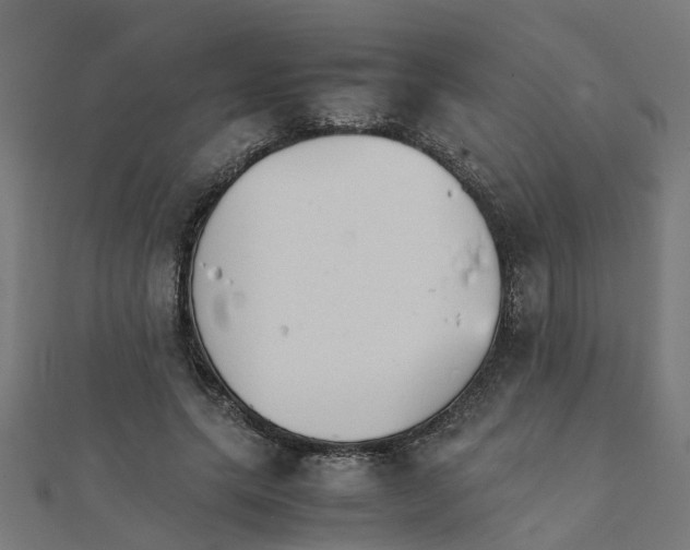 X0000111230639200907301247