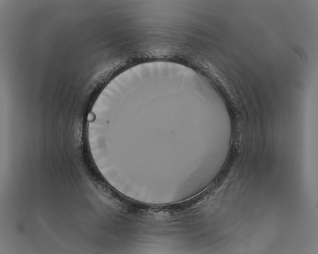 X0000111230640200907301247