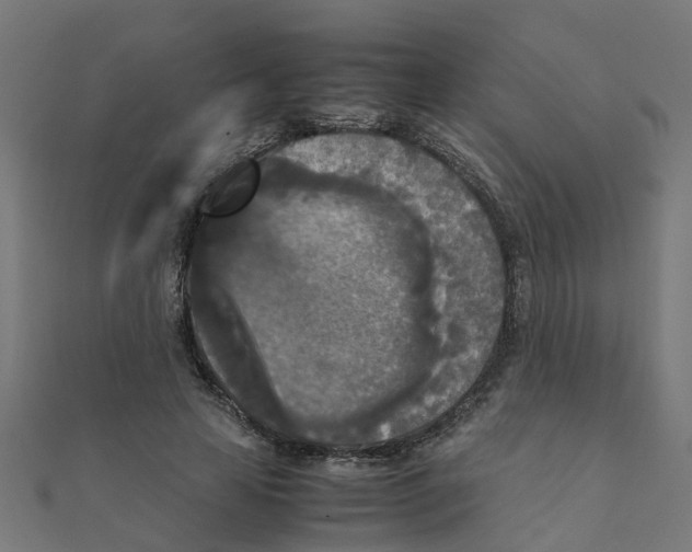 X0000111230641200907301247