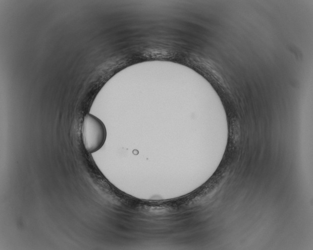 X0000111230645200907301247