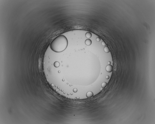 X0000111230646200907301247