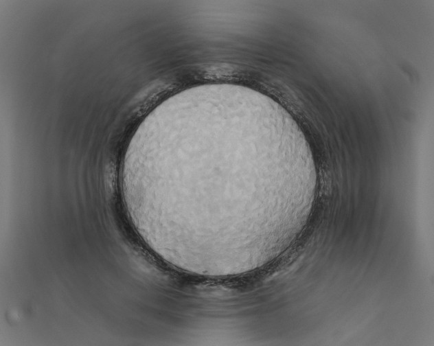 X0000111230648200907301247