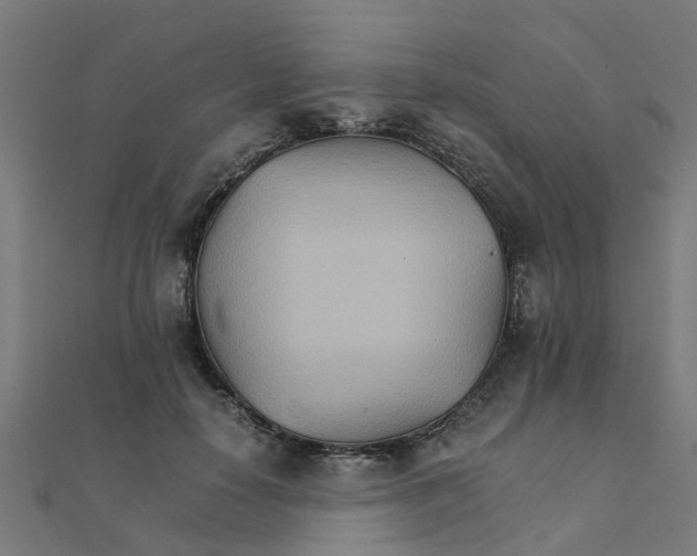 X0000111230650200907301247